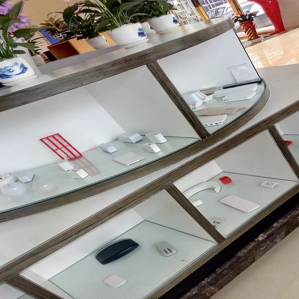 成功案例8